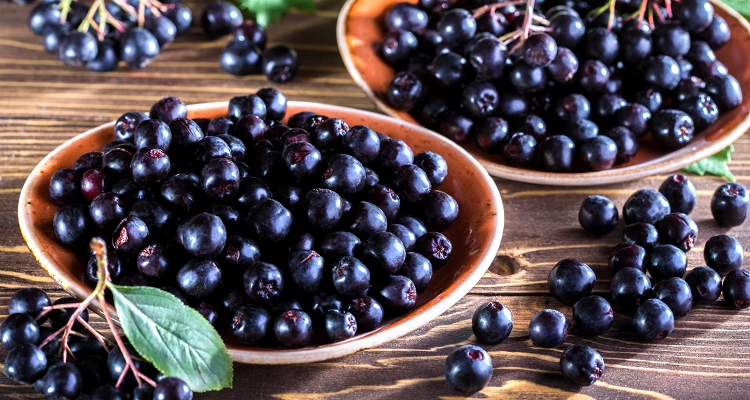 Aronia - ein neues Superfood?