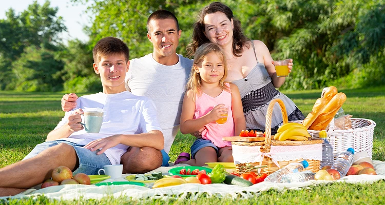 Alles für ein gelungenes Picknick