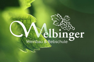 Weinbau & Rebschule Melbinger