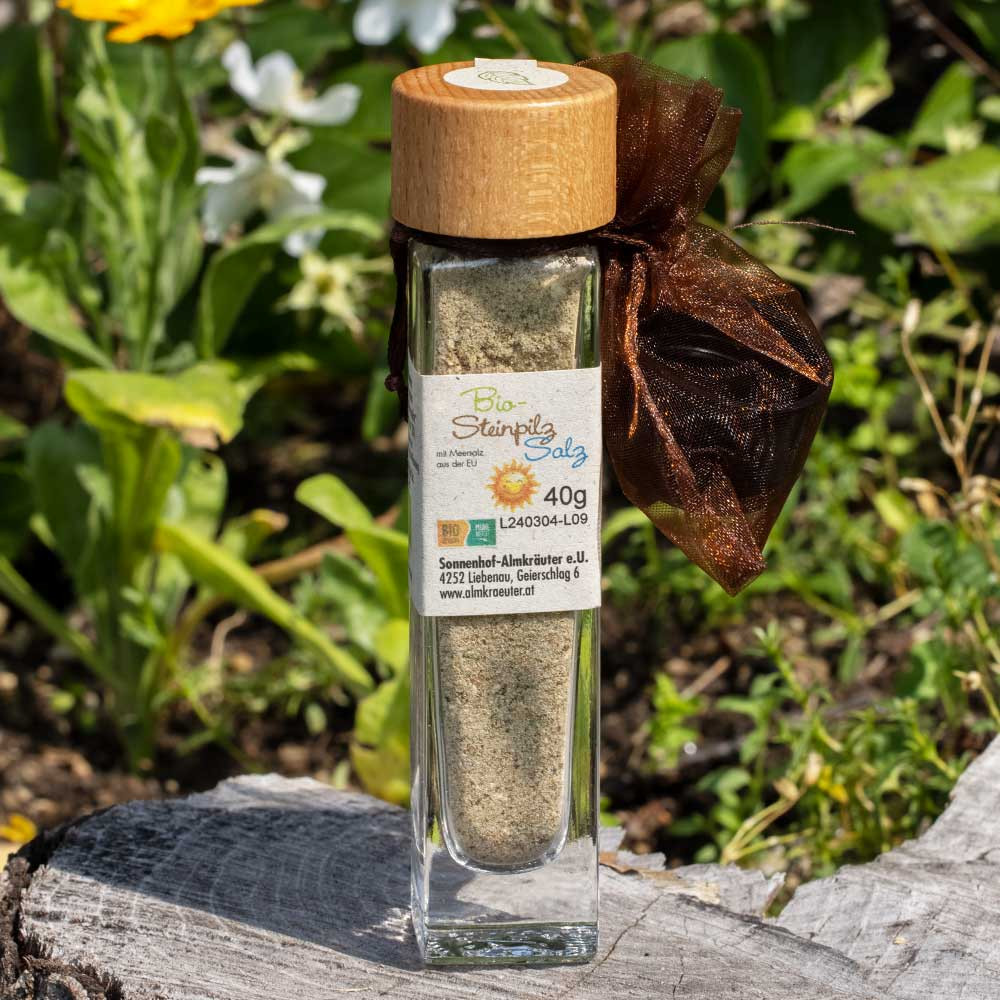 Bio Stein- und Herrenpilzsalz 40g