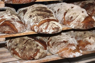 DANKE BAUER Steinofenbrot ohne Körndeln