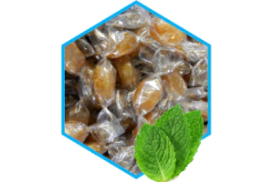Pastillen Propolis mit Minze