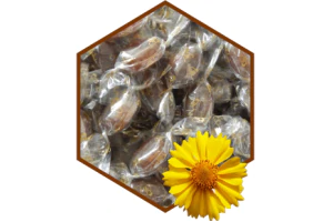 Pastillen Propolis pur