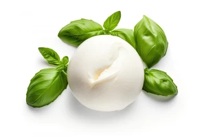 Büffelmozzarella 250 g